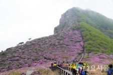 전국 산청향우 황매산 철쭉제 등반대회 연다
