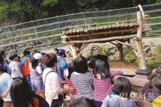 한국임업진흥원, 이색적인 산촌마을 6곳 선정