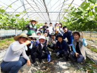 남원시 주생면, 과수농가 찾아 농촌일손돕기 실시