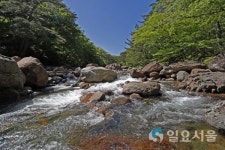 지리산 품속으로…산청 대원사 계곡길