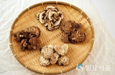 산엔청쇼핑몰과 함께할 농업인 찾습니다