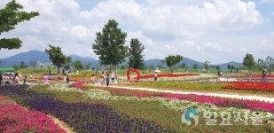 창원시 의창구 대산면, 대산 플라워 랜드 개장