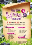 익산시-웅포 블루베리작목회, 익산 웅포 블루베리 굿 페스티벌 개최