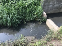 익산시, 악취발생 최소화 위해 왕궁축산단지 집중 점검 단속