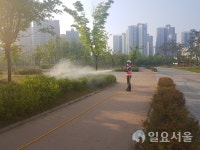 김포시, 전국적으로 확산되고 있는 매미나방 방제작업 확대 실시