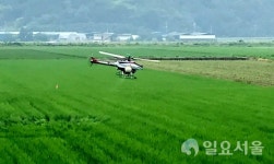 창녕군, 벼 병해충 없는 풍년농가 공동방제
