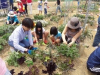 용인시, 도시․어린이 농부학교 하반기 과정 개설...참가자 모집