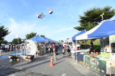 대구 동구, 17일 연꽃축제 개막