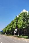 군포시, 이색 사각 그늘 범위 확장 추진
