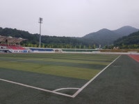 달성군 달성종합스포츠파크 주경기장, 수상한 인조잔디 무상 교체공사