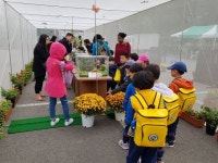 부평 인천나비공원 가을 나들이 흠뻑