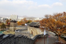 [특별기획] 수원시,  인인화락, 여민동락의 길…제56회 수원화성문화제를 만나다