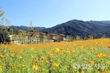 지리산생태체험단지, 가을 향기 물씬