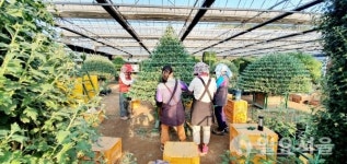 [창원58열전] 창원시 마산합포구 현동