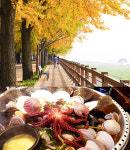 아산 은행나무길 축제 주변 대표맛집들도 덩달아 인기~!