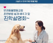 서울호서, 반려동물행동교정 진로 설명회 개최