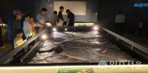 진주서 익룡 발자국 탐방 행사 열려