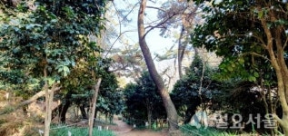 [창원58열전]37번째. 반월산에 서린 삶과 역사를 만나다, 회원1동