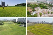 연수구, 쾌적한 도시숲 관리 142억원 투입.... 미세먼지 잡는다