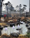 경기도시공사, 입주 앞둔 화성 동탄2 A86블록...사용검사 승인