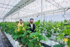장충남 남해군수, 스마트팜 경영실습 임대농장 방문