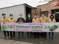 청도군, 신토불이 청도미나리 팔아주기 운동 전개