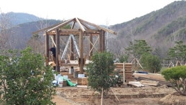 보성군, 미래형 녹색 도시 만든다…  보성숲 공원 조성 박차