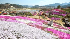 산청 생초꽃잔디축제 내년에 다시 만나요