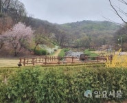 파주시, 율곡수목원·유아숲체험원 야외시설 개방