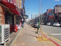 남동구, 구월동 문화로89번길 일원 무궁화 명품가로수길 조성