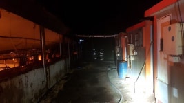경북 성주 돼지농장서 원인 미상 화재…4억4000만원 재산피해