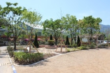 달성군, 반송초등학교 명상숲 조성 완료