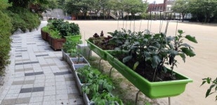 인천 중구, 나만의 작은 텃밭상자로 도시를 바꾼다