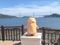 돝섬 아기 돼지청년예술가 손에서 태어나다