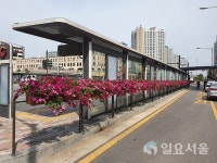 김포시, 꽃피는 거리 조성사업 추진