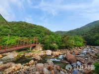 훌쩍 다가온 여름, 산청 지리산 대원사 계곡길 걸어볼까