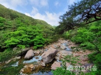 훌쩍 다가온 여름, 산청 지리산 대원사 계곡길 걸어볼까