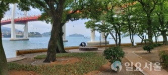 사천시, 대방 군영숲 내 야생화 화단 조성