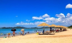 신안군, 13개소 해수욕장 전면 예약제 시행