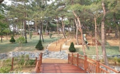달서구, 달서별빛 숲속‧생태놀이터 조성