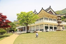 [traveleverythings 여행이야기] 역사의 발자국 새긴 생명의 기운 솟는 언덕 - 첫 번째 여정