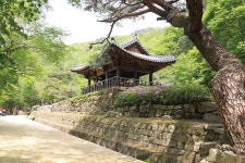 [traveleverythings 여행이야기] 역사의  발자국 새긴  생명의 기운 넘치는 언덕 - 두 번째 여정