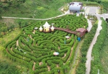 해남 두륜미로파크에서 여유로운 언택트 관광하세요