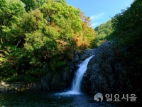 코로나 청정지역, 별빛 가득한 함양 오토캠핑장 어때?