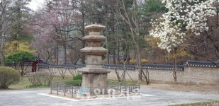 [박종평 기자의 2000년 수도서울 탐방기-①] 낙성대