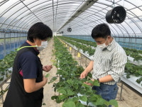 임실군, 신규농업인 위한 현장실습 교육 만족도 높아