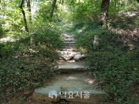 [박종평 기자의 2000년 수도 서울 탐방기-⑦] 초안산, 대한민국 유일 500년 사람들의 안식처