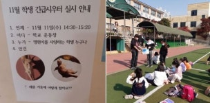 [톡톡] 인천명현초 고양이를 부탁해 학생들 노력과 열정에 환호성