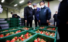 임실군-조합공동사업법인, 고품질 임실N딸기 출하식…전국 소비자 공략