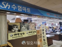 [2020 공기업 국정감사 A/S - 농해수위 수협 편] 혈세로 밑 빠진 독에 물 붓는 수협마트 방만 경영 실태